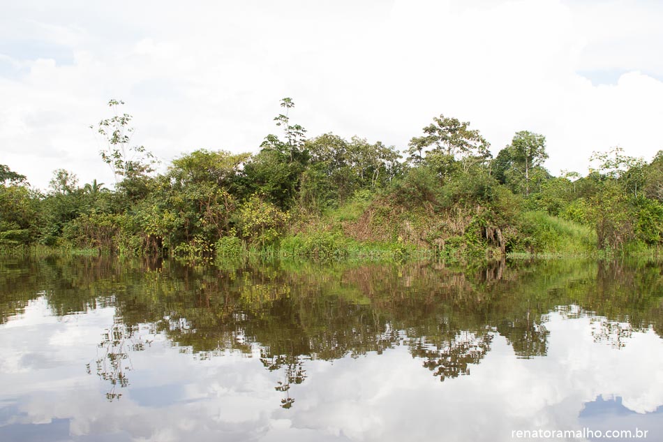 Amazônia | fevereiro 2015